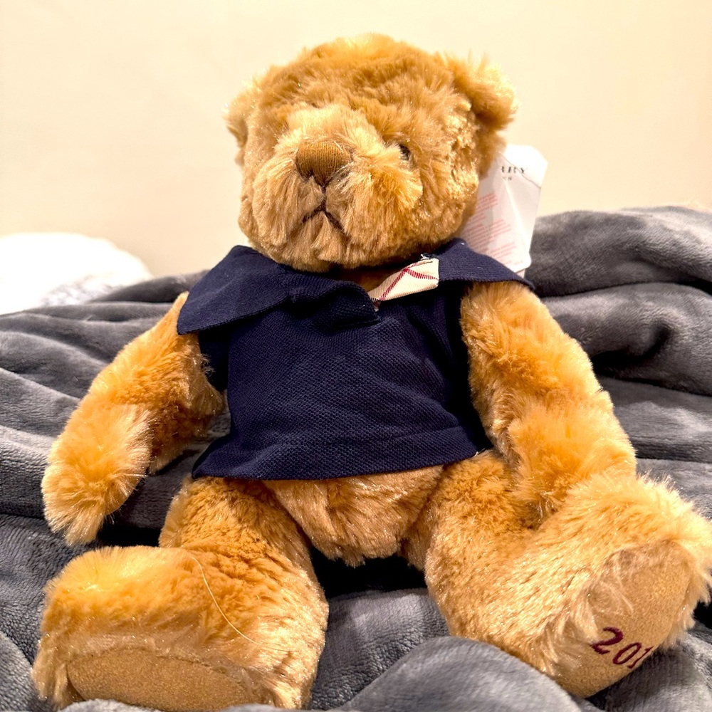 2010 vintage Burberry plush bear and Burberry box jewelry size.